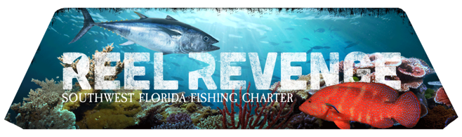 Reel Revenge Fishing Charters Cape