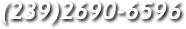(239)2690-6596