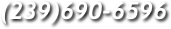 (239)690-6596